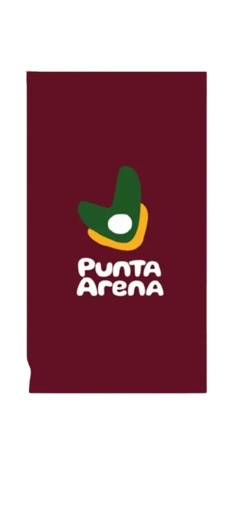 Punta Arena - cliente ALG Vertical